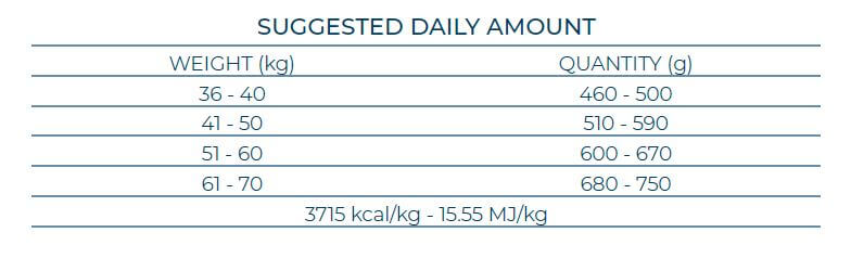 FORZA10 Maintenance Maxi Adult šunims su žuvimi
