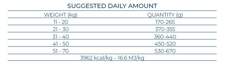 FORZA10 Monodiet Med/Maxi Adult Sensitive Skin šunims begrūdis su žuvimi