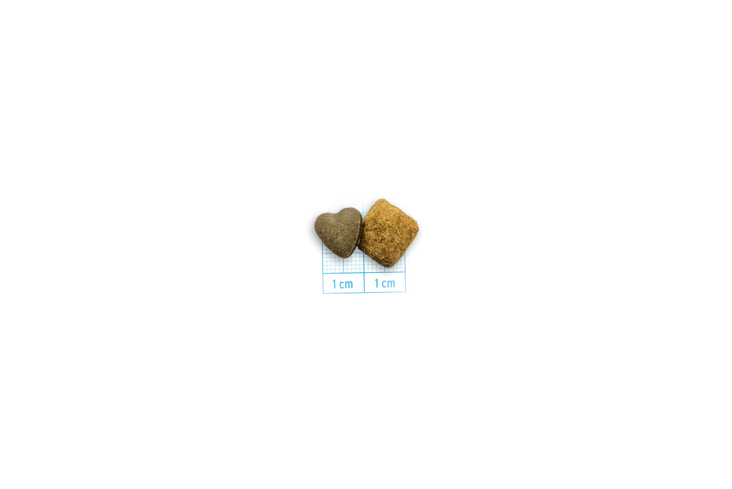 FORZA10 VetDiet URINARY All Breed šunims
