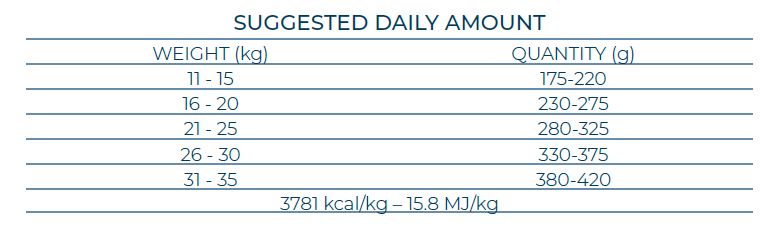 FORZA10 Monodiet Medium Adult šunims su ėriena