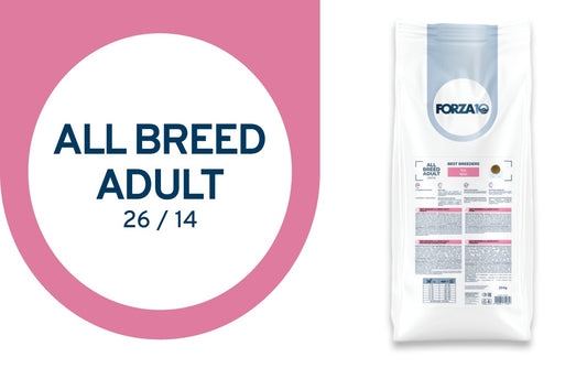 FORZA10 Best Breeders Adult All Breed šunims (26/14) su kiauliena