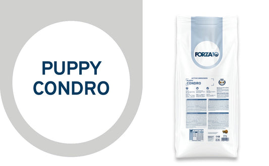 FORZA10 Active Breeders Puppy Condro šunims