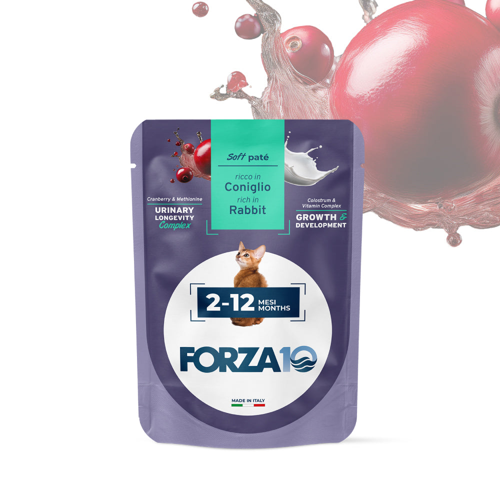 FORZA10 Maintenance Kitten konservai kačiukams ir katėms 2-12 mėn. su triušiena