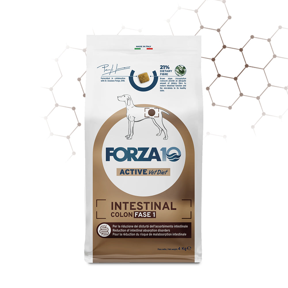 FORZA10 VetDiet INTESTINAL COLON Fase 1 All Breed šunims