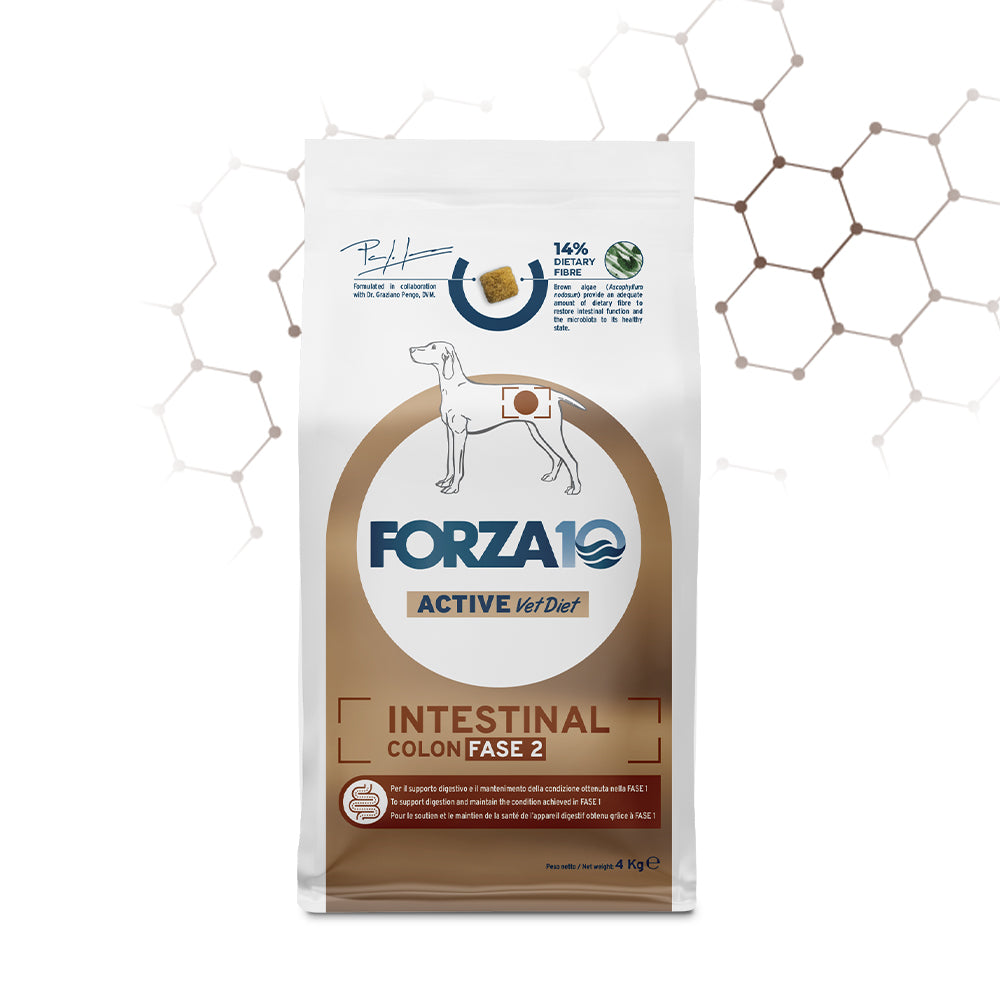 FORZA10 VetDiet INTESTINAL COLON Fase 2 All Breed šunims