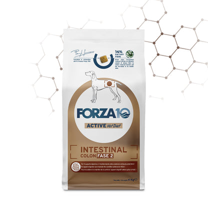 FORZA10 VetDiet INTESTINAL COLON Fase 2 All Breed šunims
