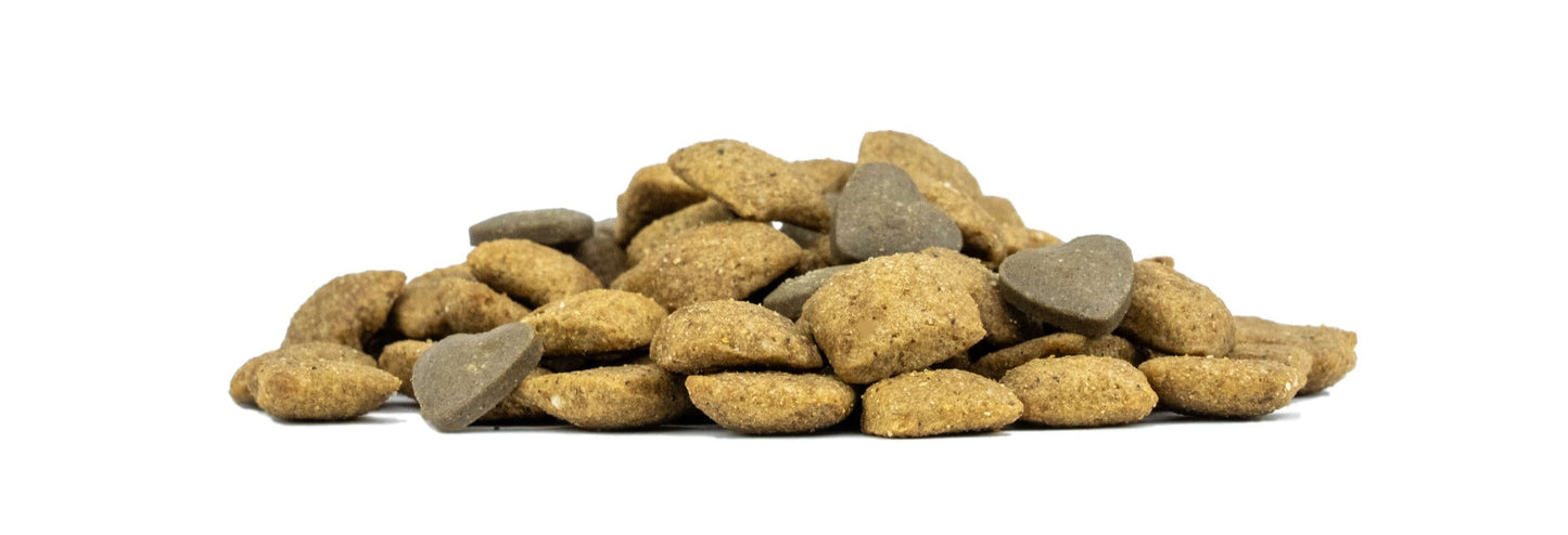 FORZA10 VetDiet INTESTINAL All Breed šunims