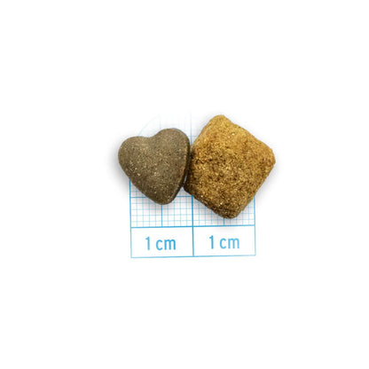 FORZA10 VetDiet INTESTINAL All Breed šunims