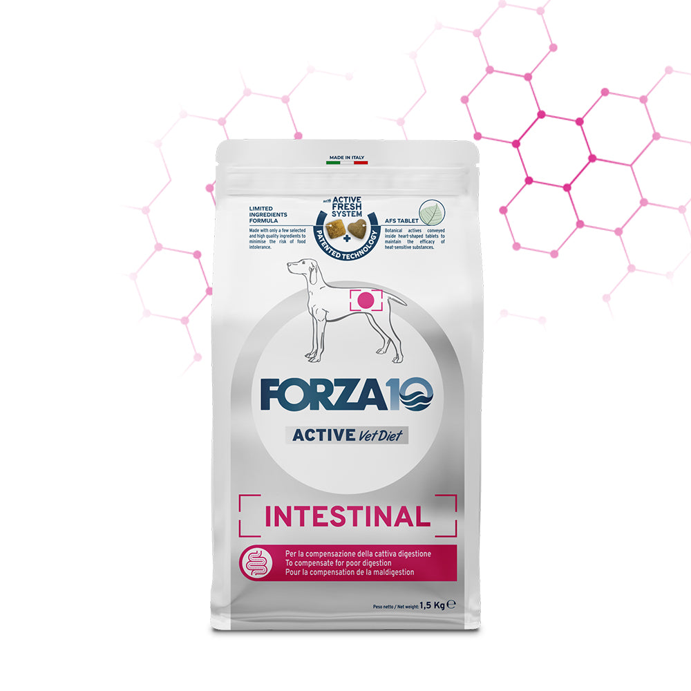 FORZA10 VetDiet INTESTINAL All Breed šunims