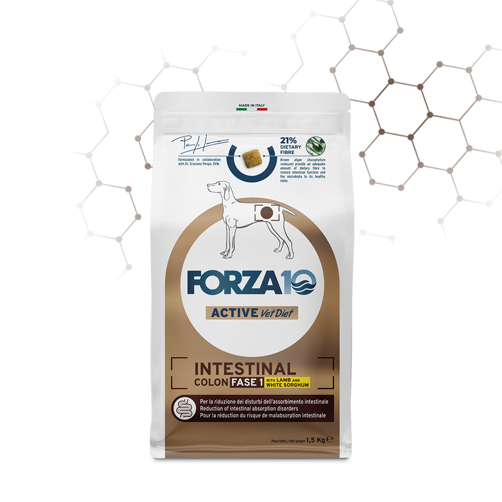 FORZA10 VetDiet INTESTINAL COLON Fase 1 All Breed šunims su ėriena ir sorgais