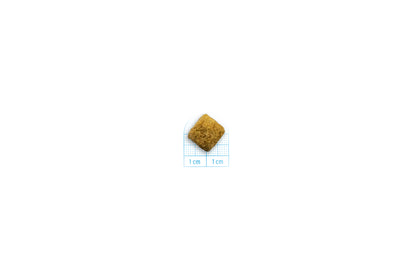 FORZA10 VetDiet INTESTINAL COLON Fase 1 All Breed šunims su ėriena ir sorgais
