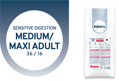 FORZA10 Best Breeders Medium/Maxi Adult šunims Sensitive Digestion (36/16) su žuvimi