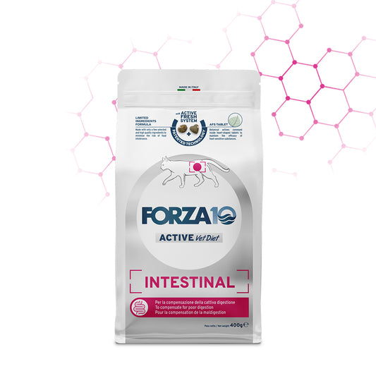 FORZA10 VetDiet INTESTINAL katėms