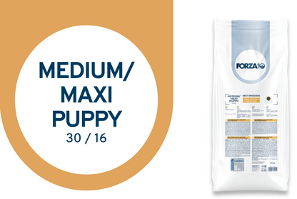 FORZA10 Best Breeders Puppy Medium/Maxi šuniukams (30/16) su vištiena ir bulvėmis