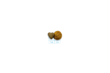 FORZA10 VetDiet RENAL katėms